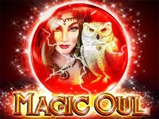 Magic Owl screenshot